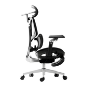 E3 Ultra Ergonomic Office Chair