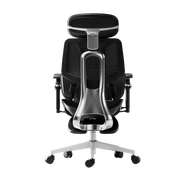 E3 Ultra Ergonomic Office Chair