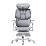 X7 Smart Ergonomic Office Chair with AI Lumbar Support