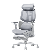 X7 Smart Ergonomic Office Chair with AI Lumbar Support
